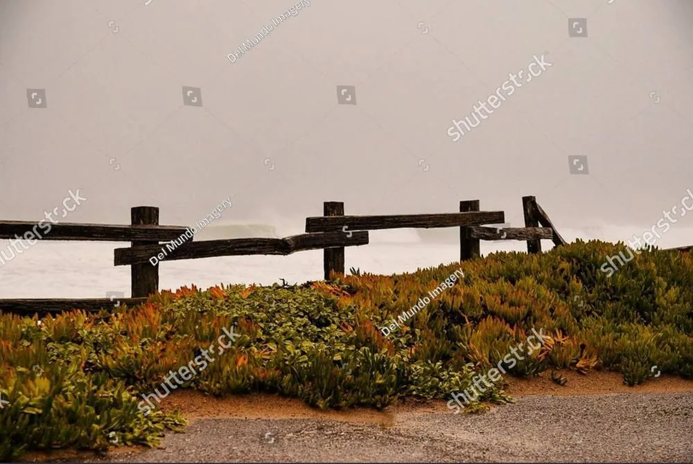 A simple wooden fence along a coastal path, with low scrub and open sky beyond